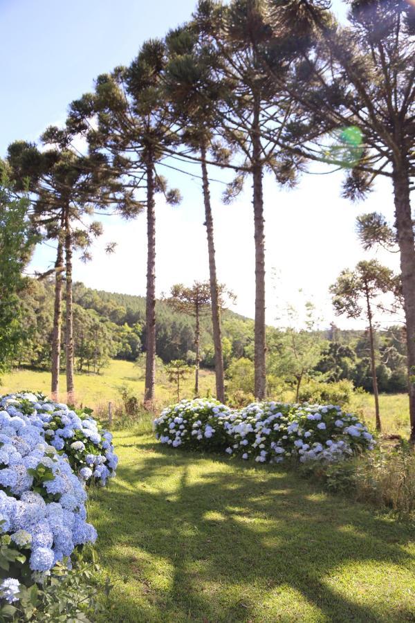 Hotel Murialdo Caxias do Sul Exterior photo